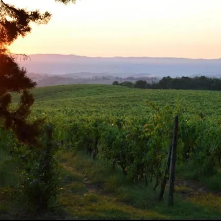 Montana Escape, Tuscan Chiusdino