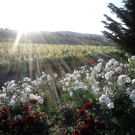 Montana Escape, Tuscan * Chiusdino