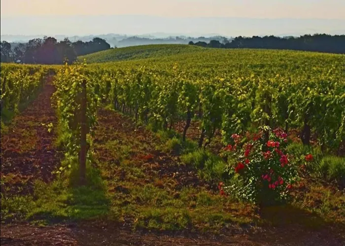 Montana Escape, Tuscan *
